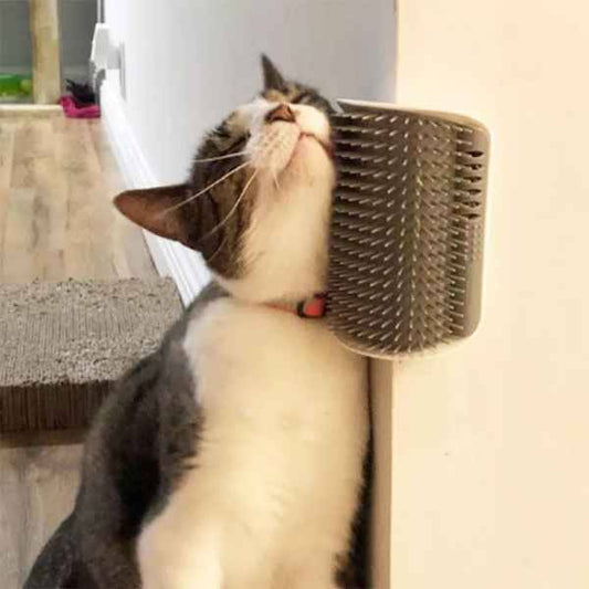 Self Groomer Massage Cat Brush Comb With Catnip