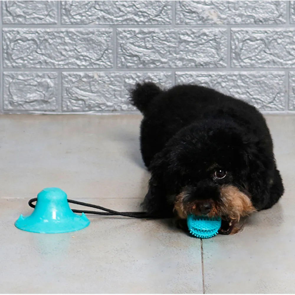 Tug O' War Treat Dog Toy