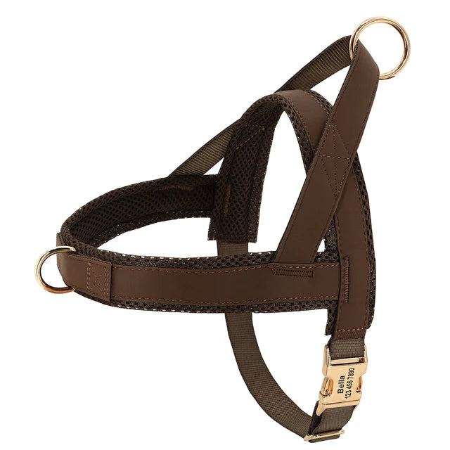 Custom Engraved Leather Harness