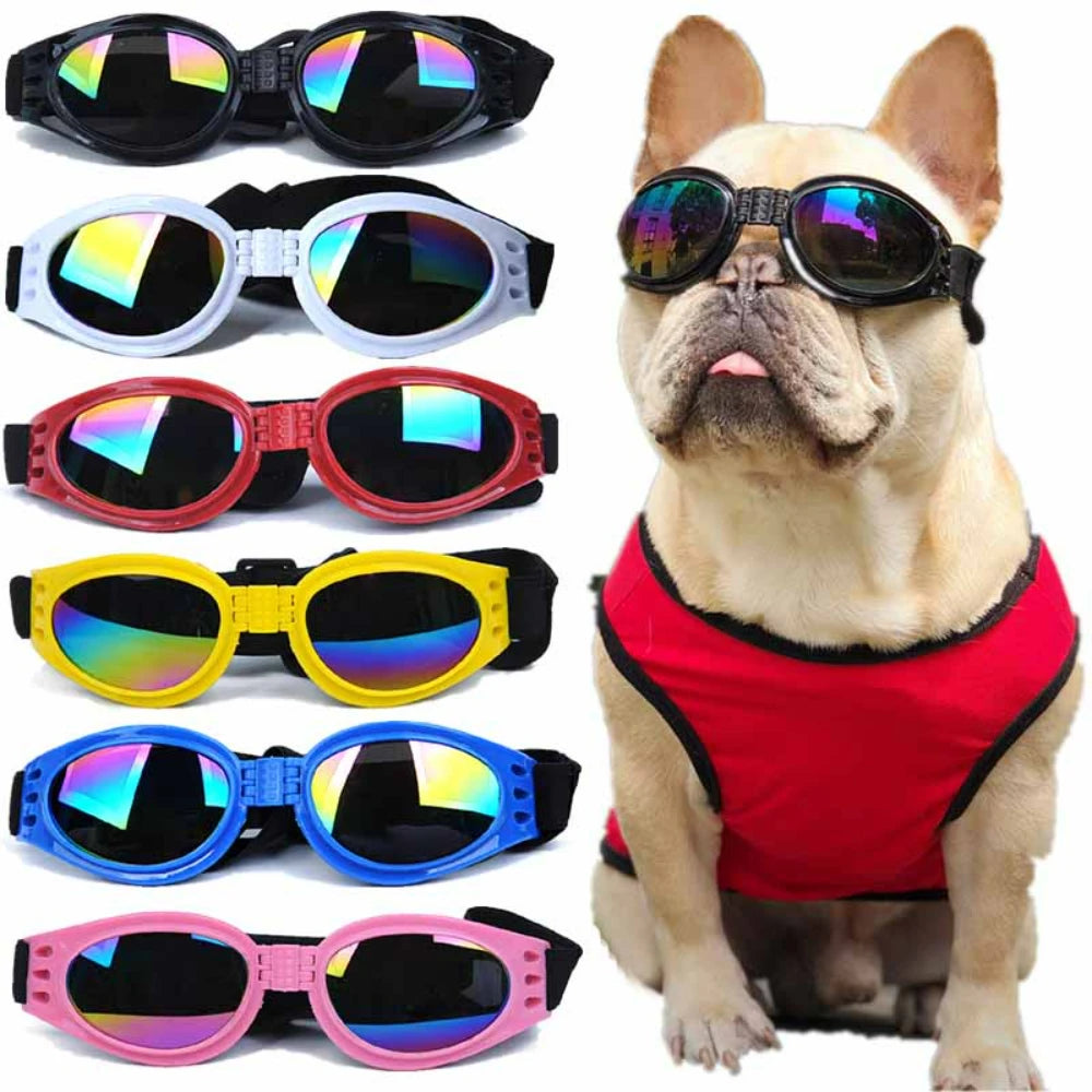 Sun and Wind Protection Personality Glasses for Your Pup