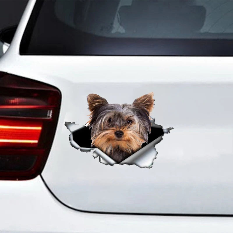Yorkshire Terrier Car Stickers Window Bumper