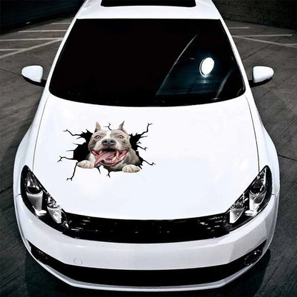 Pitbull Crack Car Dog Window Decal