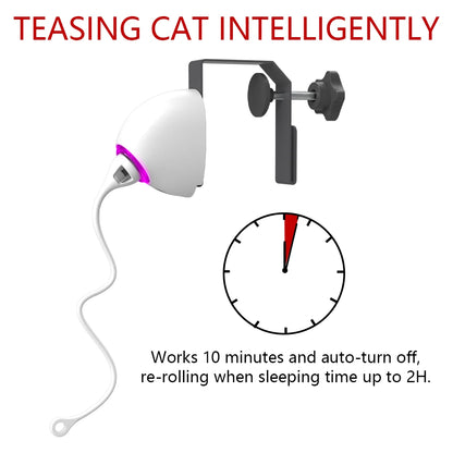 Electric Cat Automatic Teaser Rope
