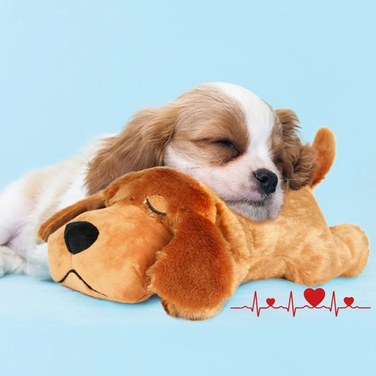 Anxiety Relief Sleep Aid Pet Training Pillow