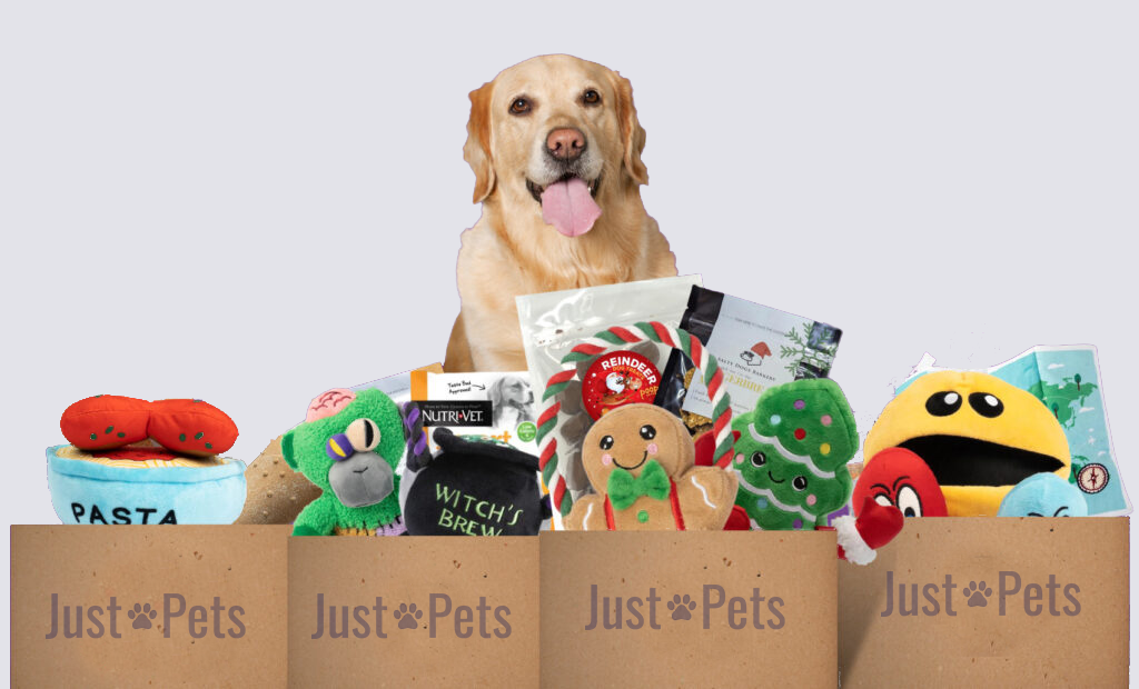 Just Pets: Subscription Box