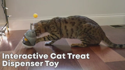 Interactive Cat Feeder Toy